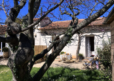 Gîte Glycine 2/4 personnes - ext